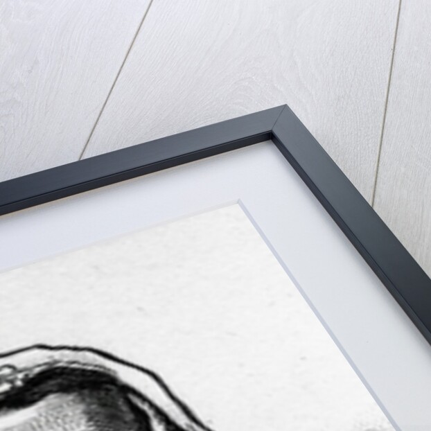 Moll King by English School