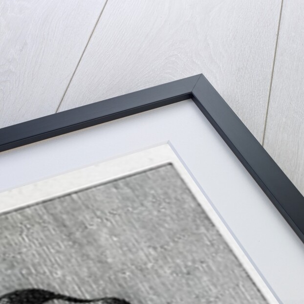 Jonathan Wild by English School