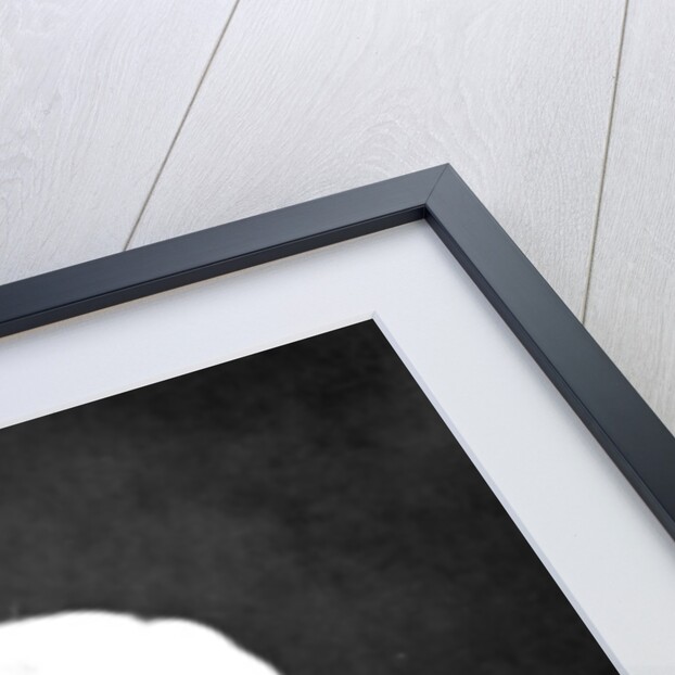 Vicomte Ferdinand Lesseps by Etienne Carjat