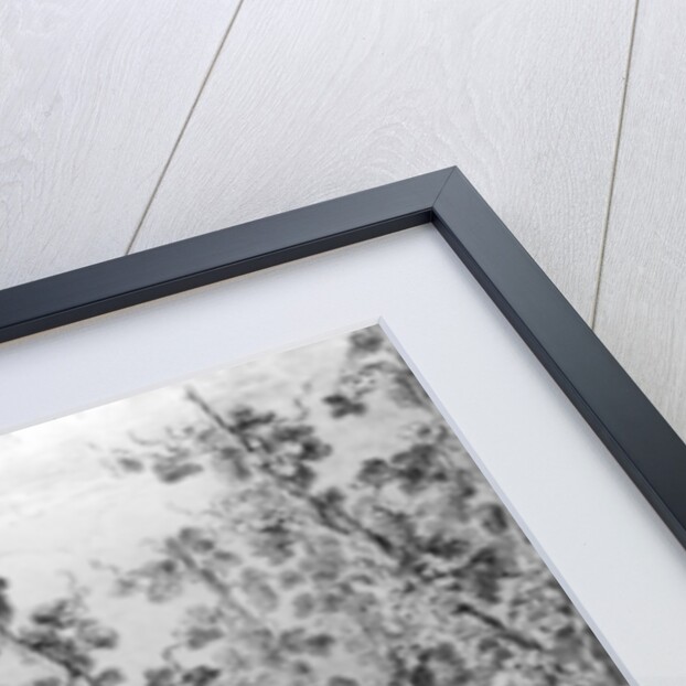 Hop Garden, an illustration to 'Poems on Several Occasions' by Christopher Smart, engraved by Charles Grignion, 1752 by Francis Hayman