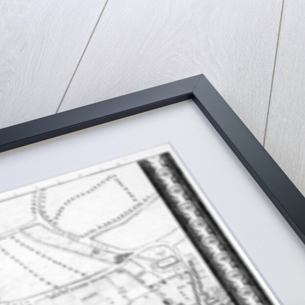 A Map of Limehouse and Rotherhithe, London, 1746 by John Rocque