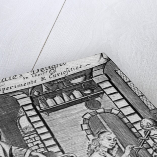 Illustration from 'The Ladies Delight in choice experiments & curiosities' by Hannah Woolley, 1672 by English School