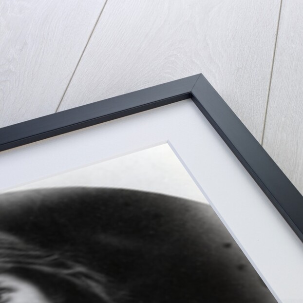 O Hark! O Hear! by Julia Margaret Cameron