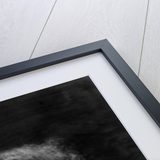 Jane Morris, posed by Dante Gabriel Rossetti, 1865 by John R. Parsons