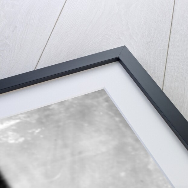 Jane Morris, posed by Dante Gabriel Rossetti, 1865 by John R. Parsons