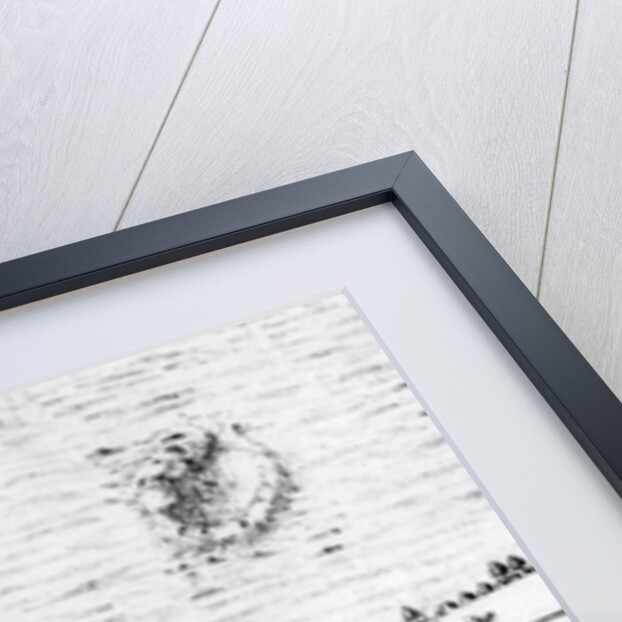 A Map of Tyburn, 1746 by John Rocque