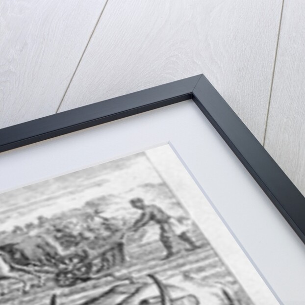 The Manner of Ploughing at the Cape, an illustration in 'The Present State of the Cape of Good-Hope: vol II', published 1731 by German School