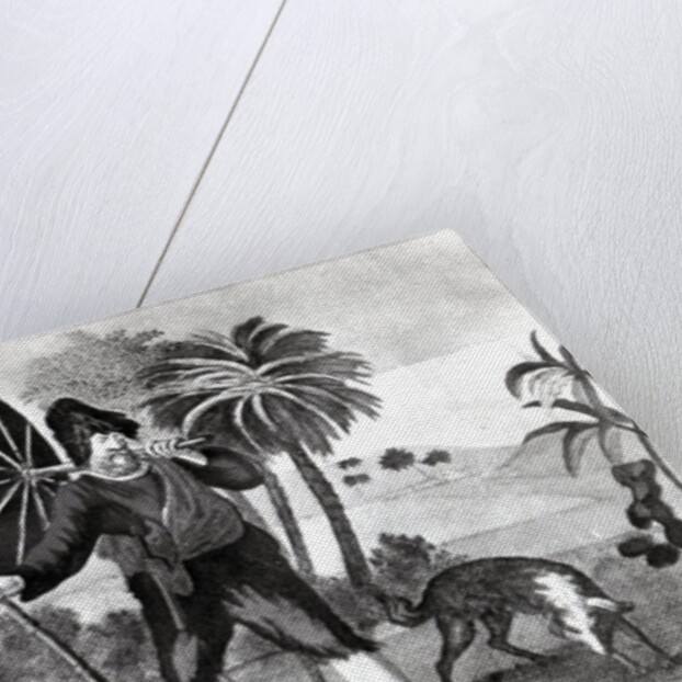 The Filibuster Selkirk by English School