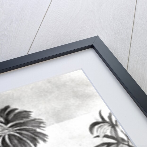 The Filibuster Selkirk by English School