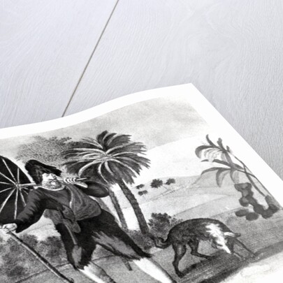 The Filibuster Selkirk by English School