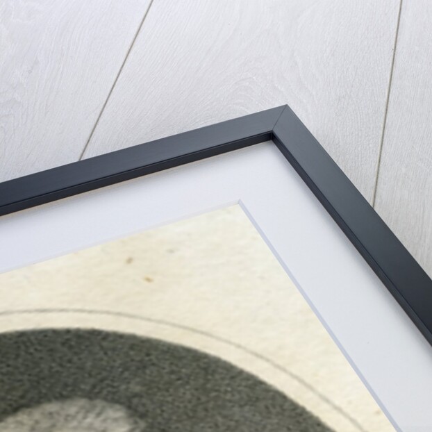 John Stuart, 3rd Earl of Bute by Allan Ramsay