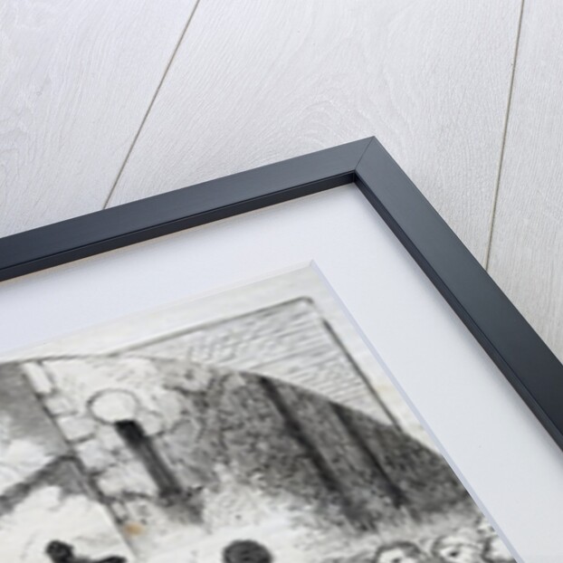 Reception of James II in Dublin, published in 'Cassell's Illustrated History of England, vol IV', 1874 by English School