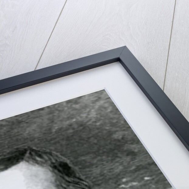 Robert O'Hara Burke, 1860 by William Strutt