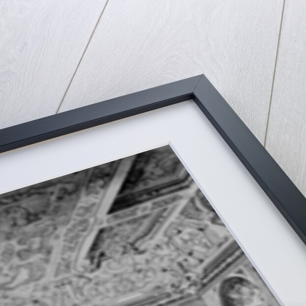 Picture Gallery at Belvedere, Vienna by Salomon Kleiner