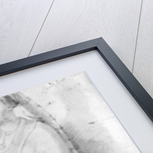 Joanna the Mad, Queen of Spain by Peter Paul Rubens