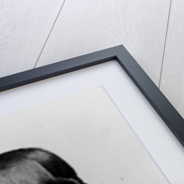 Ann Lynn, 1852 by John Everett Millais