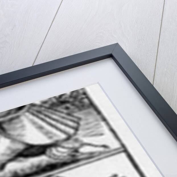 Monsters from the 'Nuremberg Chronicle' by Hartmann Schedel, published 1493 by Michael Wolgemut or Wolgemuth