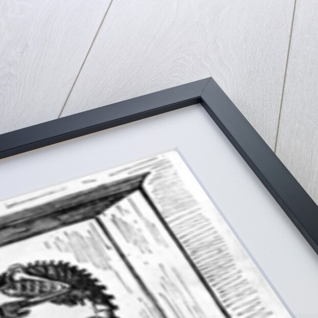 A Warning to Enthusiasts by Edward Tennyson Reed