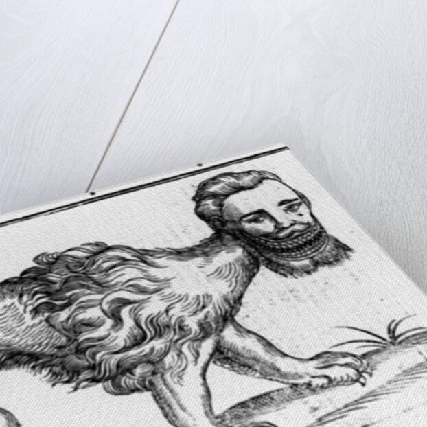 Manticore from 'Historie of Foure-Footed Beastes' by Edward Topsell, published 1607 by Edward Topsell