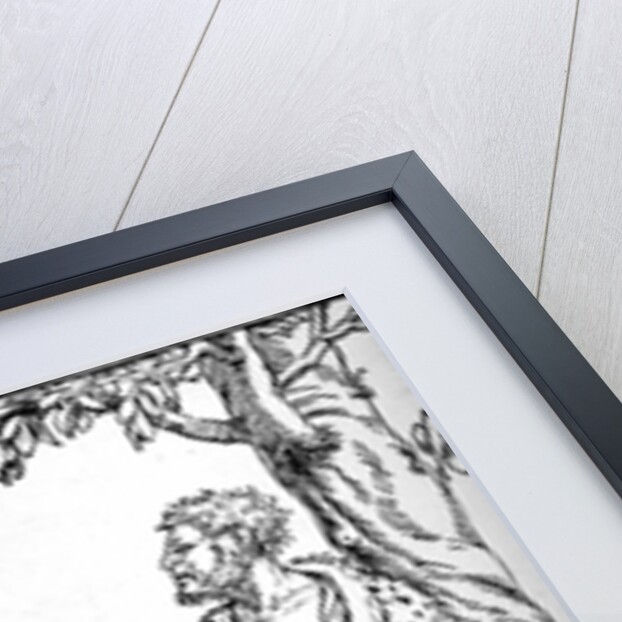 Natives of Algoa, 1508 by Hans Burgkmair