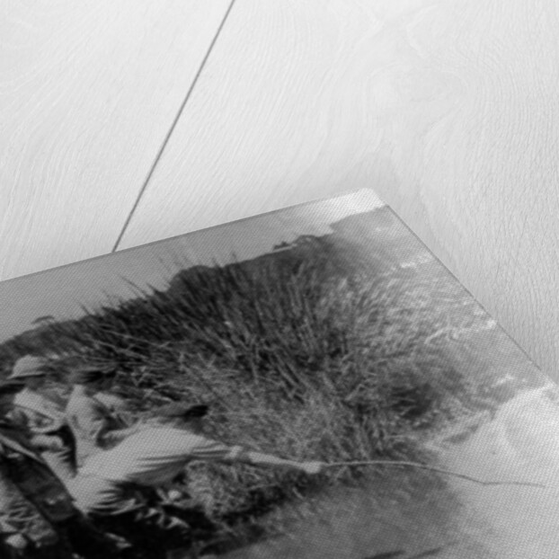 Off duty soldiers during WWI, fishing for sticklebacks by English Photographer