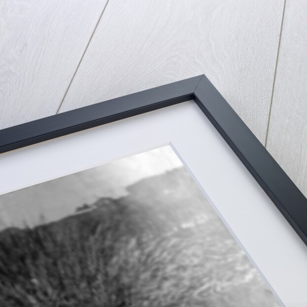 Off duty soldiers during WWI, fishing for sticklebacks by English Photographer