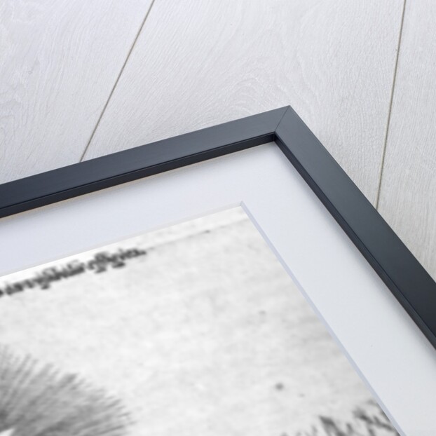 The science of casting horoscopes by English School