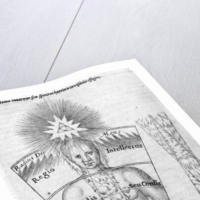 The science of casting horoscopes by English School