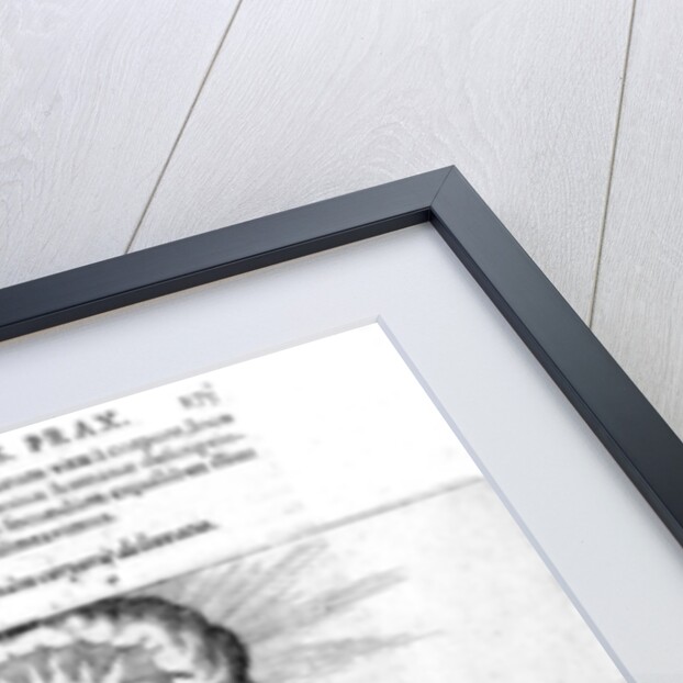 The day and night of the Microcosm by English School