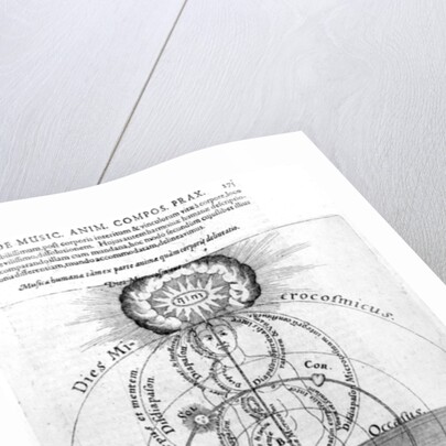 The day and night of the Microcosm by English School