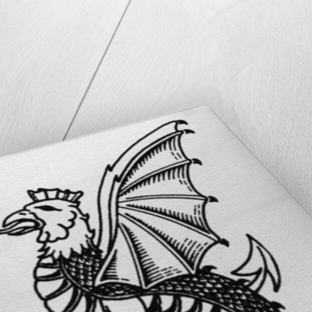 The Cockatrice by English School