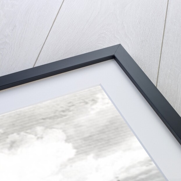 New Hall, near Chelmsford, Essex by William Henry Bartlett