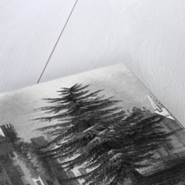 Faulkbourn Hall, near Whitham, Essex by William Henry Bartlett