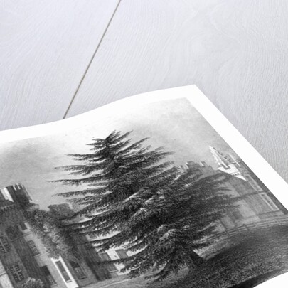 Faulkbourn Hall, near Whitham, Essex by William Henry Bartlett