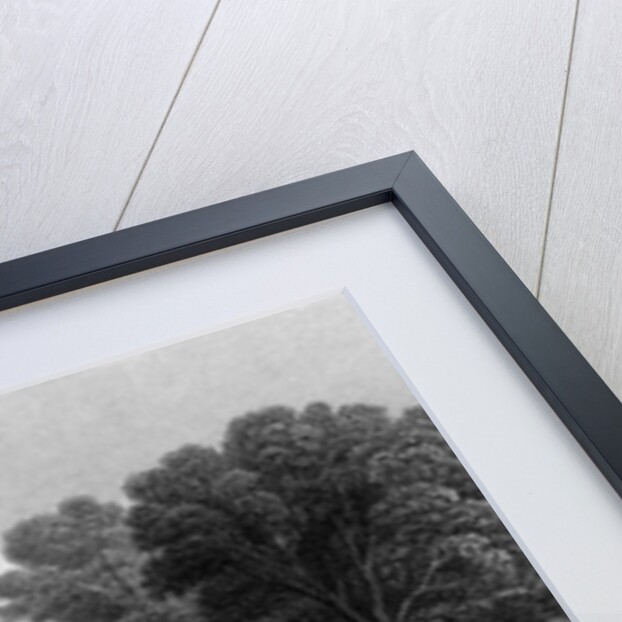 Wivenhoe Park, Essex, 1835 by Thomas Barber