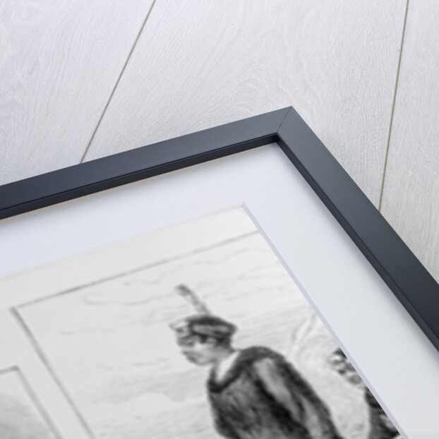 The Arctic Cruise of the Pandora, Captain Allen Young, published in 'The Illustrated London News', 1876 by English School