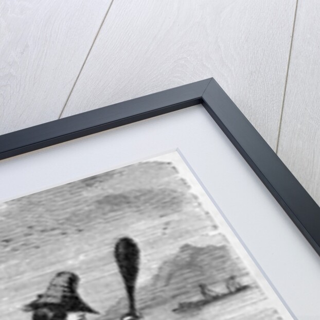 Balsas, or Boat of Skin, used by the Natives on the American Coast by English School