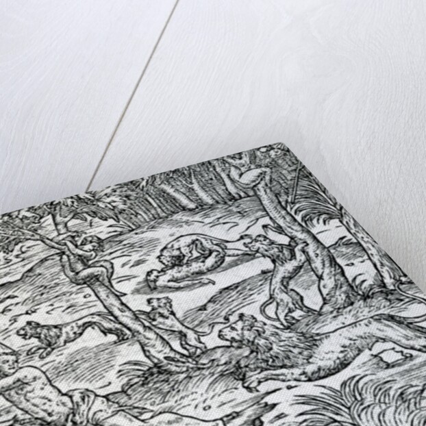 Lions attacking and eating humans by Jean the Younger Cousin