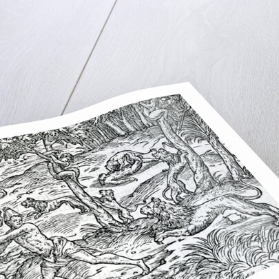 Lions attacking and eating humans by Jean the Younger Cousin