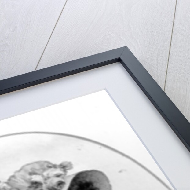 Lady Snuff Takers by English School