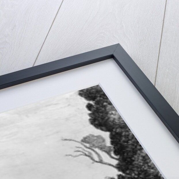 In Werrington Park by Frederick Christian Lewis