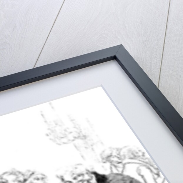 Such very superior dancing is not often seen by Hugh Thomson