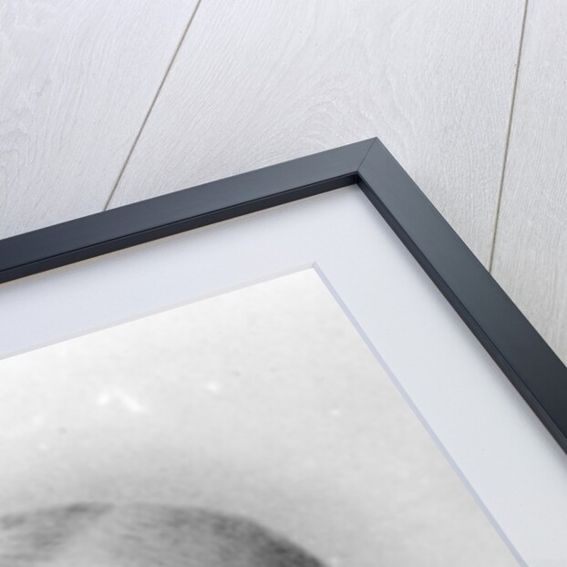 Lionel Pigot Johnson, c.1870s by English School