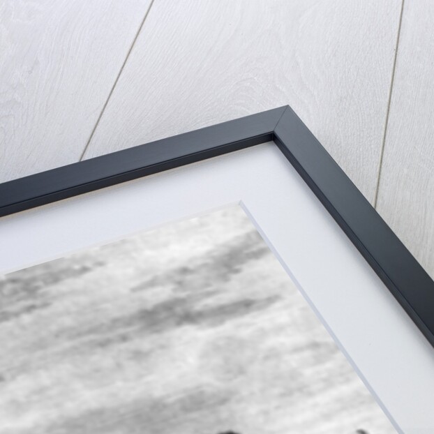 The South View of Barnes, printed by Henry Overton by English School