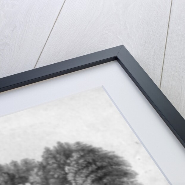 Walmer Castle by English School