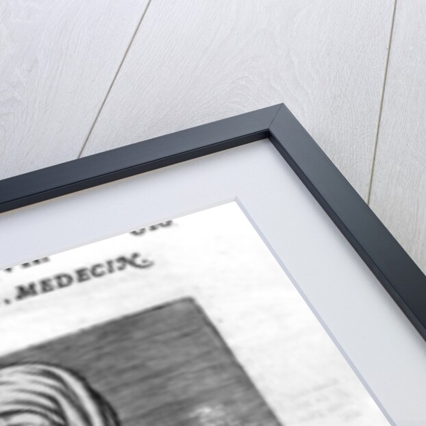 Avicenna by French School