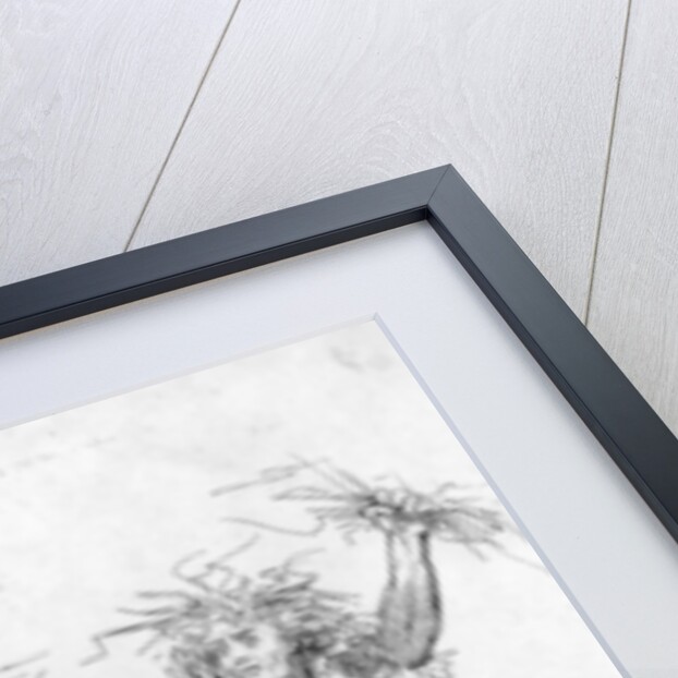 A Peep into Bethlehem, c.1793 by Thomas Rowlandson