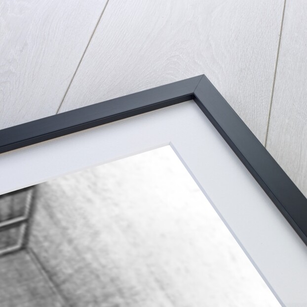 Illustration of Bedlam from 'A Tale of a Tub' by Jonathan Swift, fifth edition published 1710 by Bernard III Lens