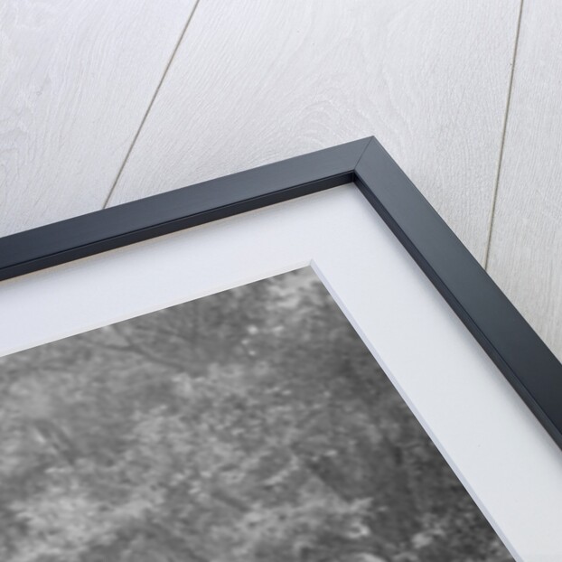 The Retreat by English School