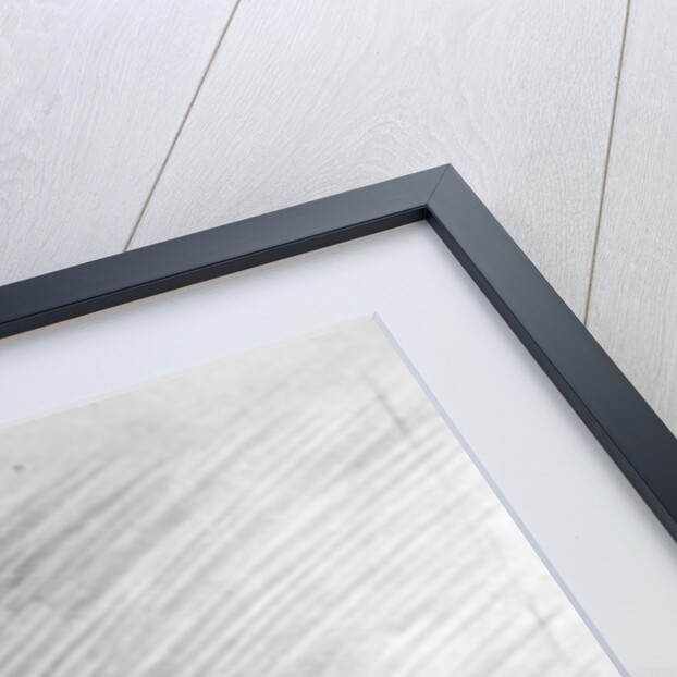 The Indian Bathroom by Leonard Raven-Hill